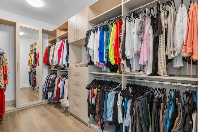 spacious closet featuring light wood-type flooring