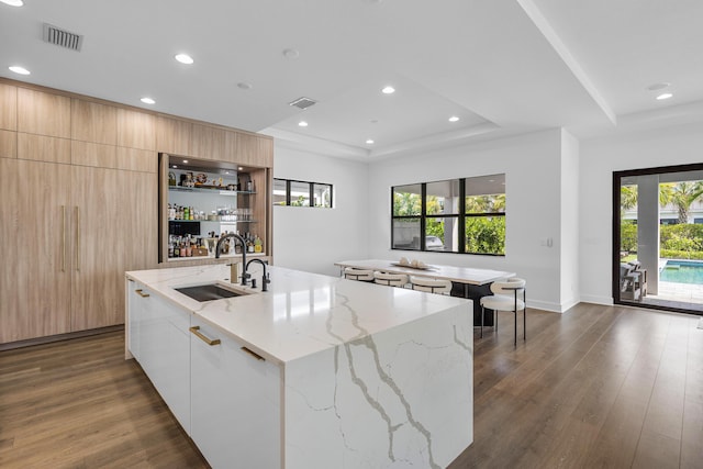 kitchen with sink, dark hardwood / wood-style floors, a tray ceiling, light stone countertops, and a large island with sink