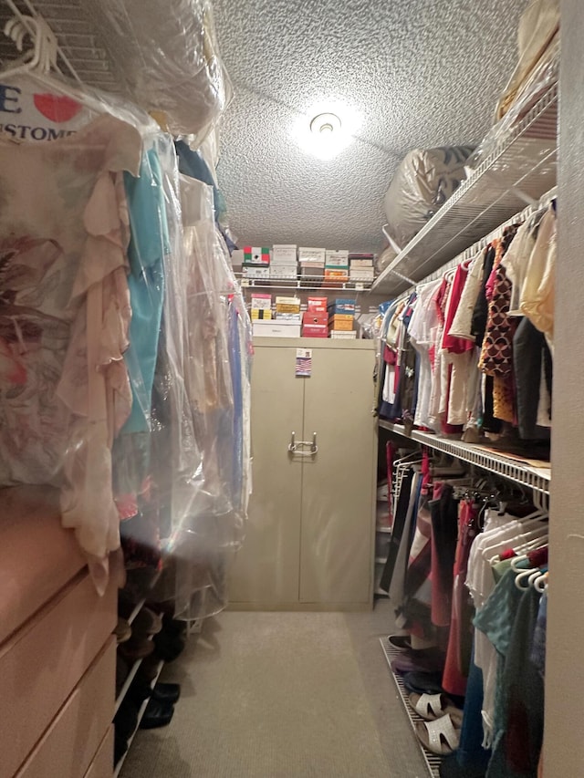 walk in closet featuring carpet floors