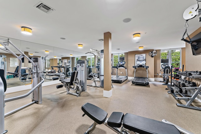 exercise room featuring a wealth of natural light