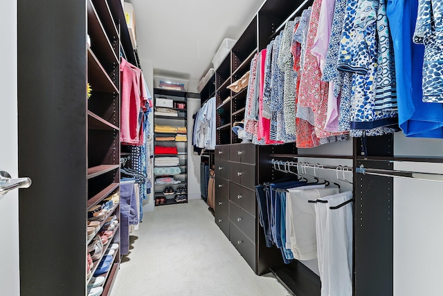 walk in closet with carpet