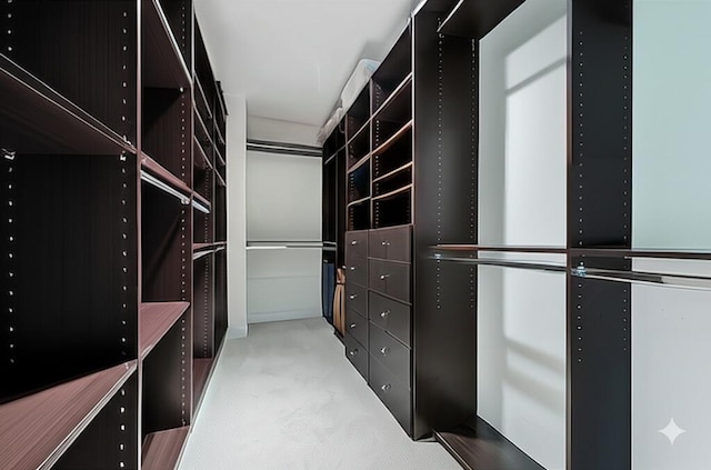 spacious closet featuring carpet