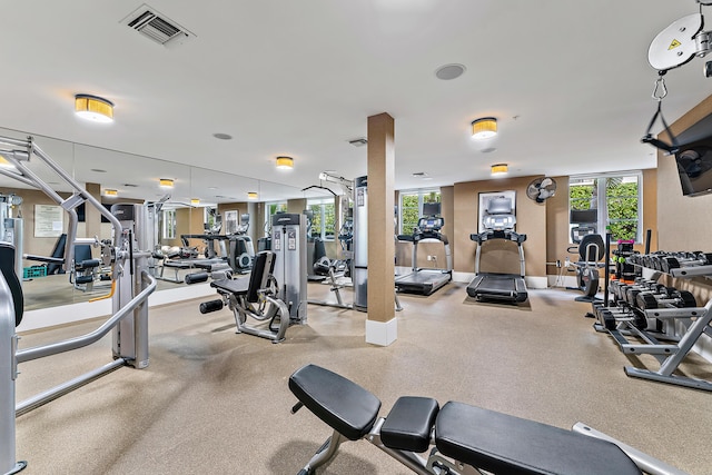 workout area featuring a healthy amount of sunlight, baseboards, and visible vents