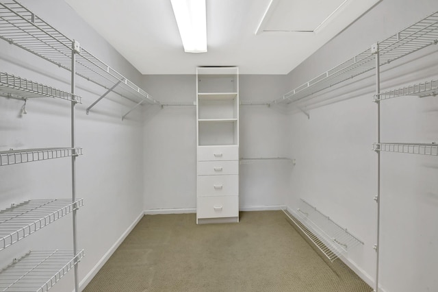 spacious closet with carpet flooring