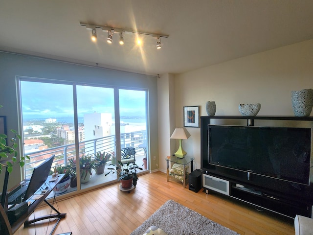 1551 N Flagler Dr Ph L7, West Palm Beach, FL 33401 - living area with hardwood / wood-style floors and track lighting