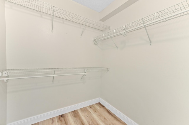 spacious closet with wood-type flooring