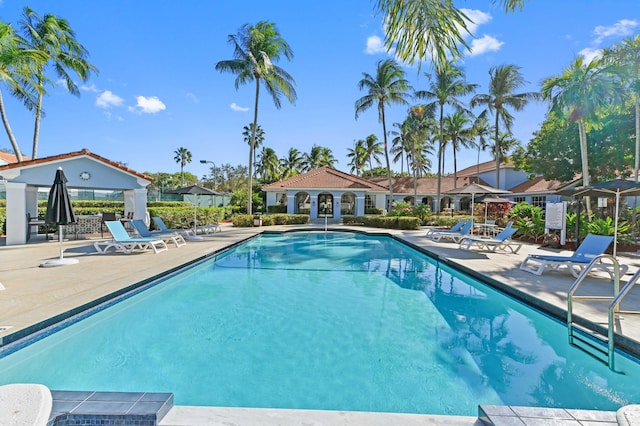 view of pool featuring a patio