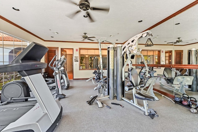 workout area with crown molding and a textured ceiling