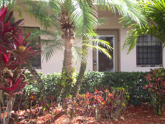 entrance to property with a garage and stucco siding