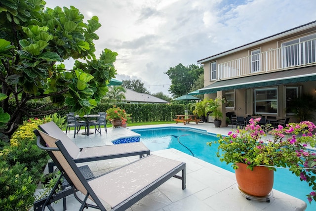 view of pool featuring a patio