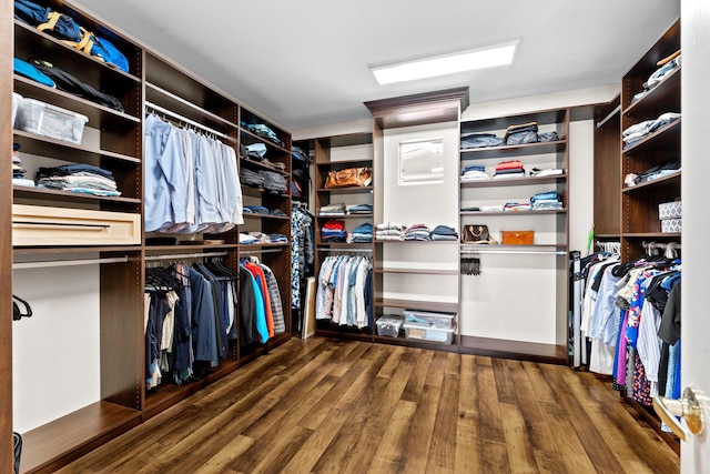 walk in closet with wood-type flooring