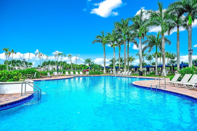 view of pool with a patio