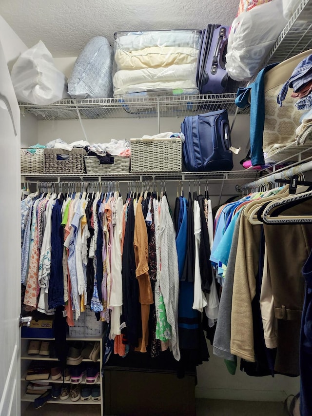 view of spacious closet