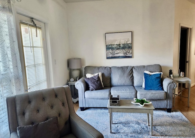 living room featuring wood-type flooring