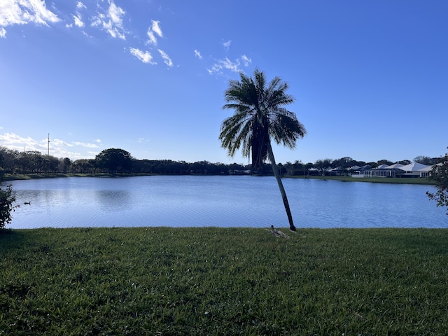 view of water feature