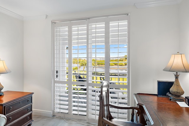 interior space with crown molding