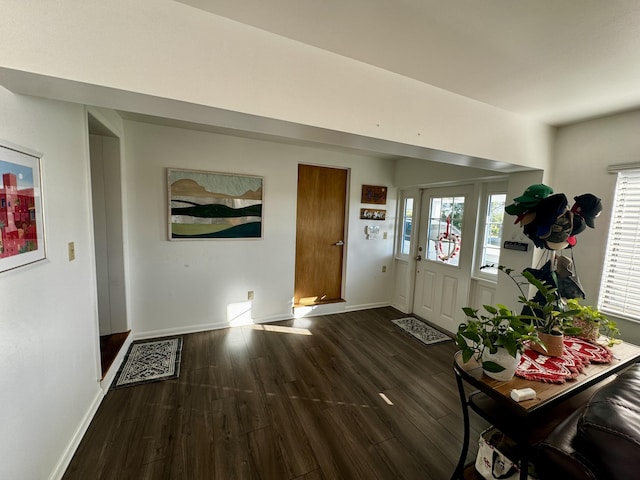 entrance foyer featuring dark hardwood / wood-style flooring