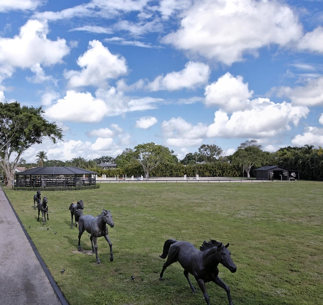 surrounding community with a rural view and a yard