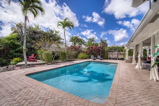 view of pool with a patio