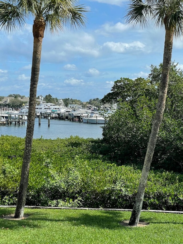 view of water feature featuring a boat dock