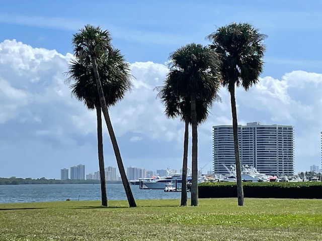 water view featuring a view of city