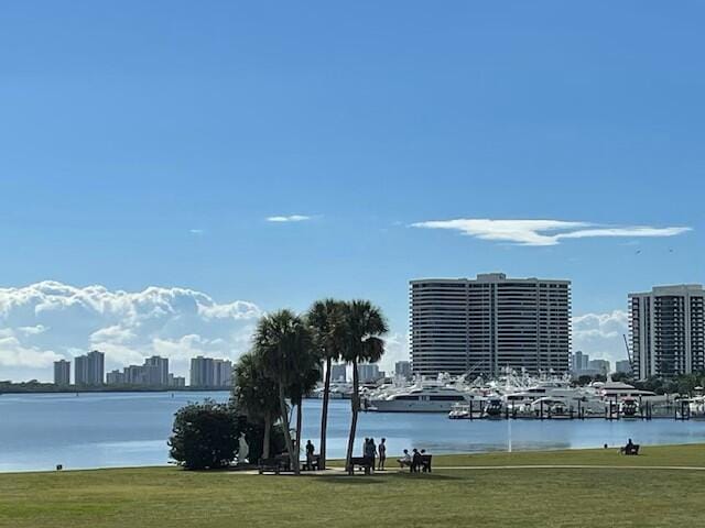 view of water feature featuring a city view