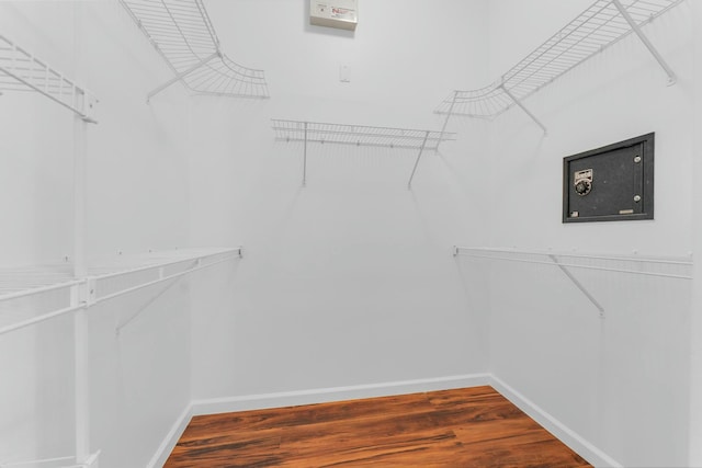 walk in closet featuring wood-type flooring