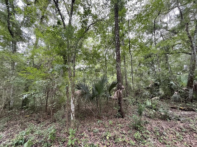 TBD NW 65th St, Ocala FL, 34475 land for sale