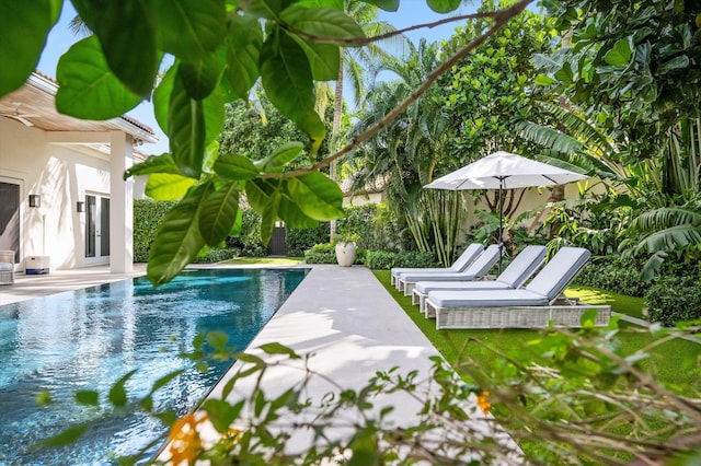 view of swimming pool with a patio