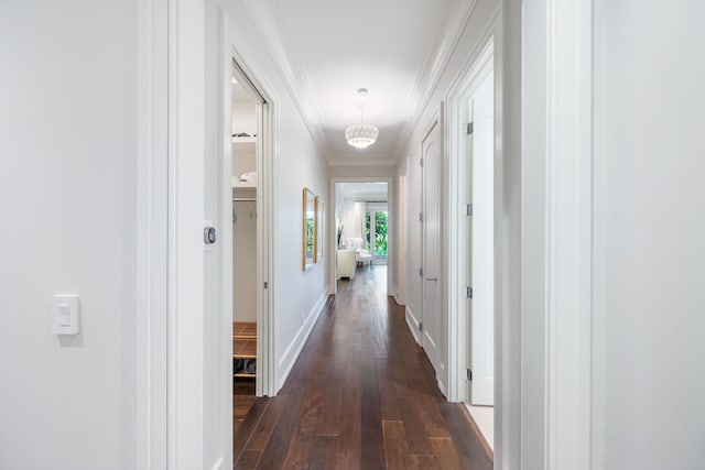 hall with crown molding and dark wood-type flooring