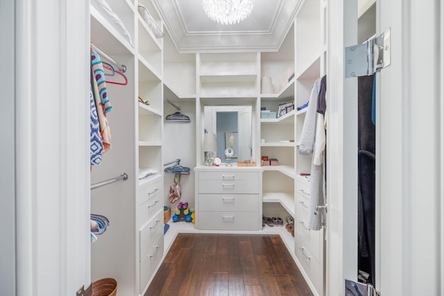 walk in closet with dark wood-type flooring and a chandelier