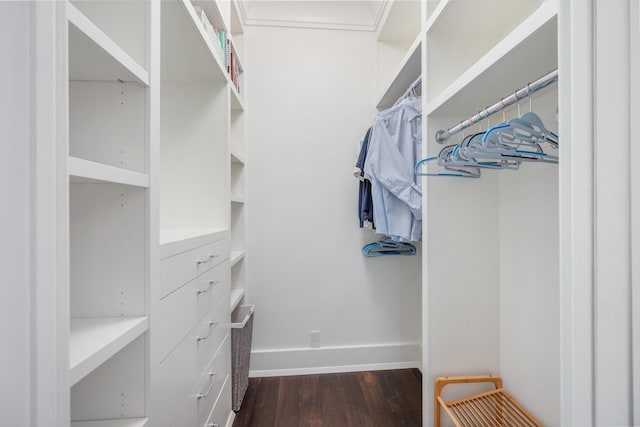 spacious closet featuring dark hardwood / wood-style flooring