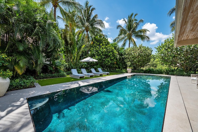 view of swimming pool featuring a lawn and a patio area