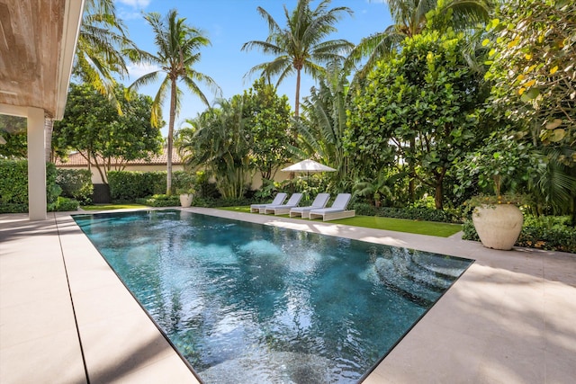 view of pool featuring a patio area