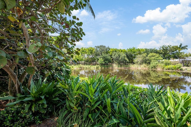 view of nature with a water view