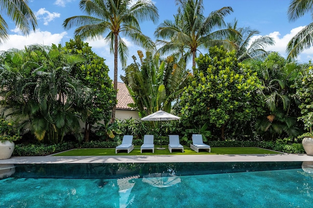 view of pool with a lawn