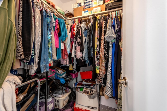 view of spacious closet