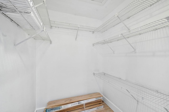 spacious closet featuring hardwood / wood-style flooring