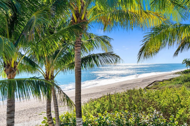 water view featuring a view of the beach