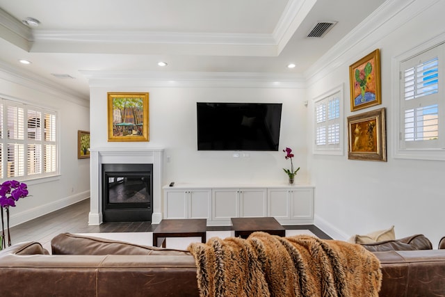 living room with ornamental molding, a raised ceiling, wood-type flooring, and a wealth of natural light