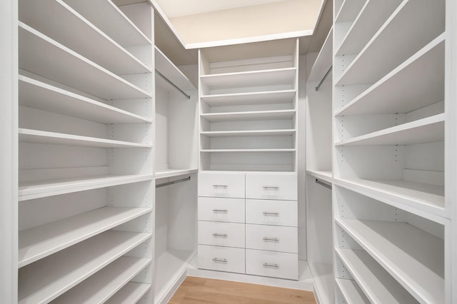 walk in closet with light wood finished floors