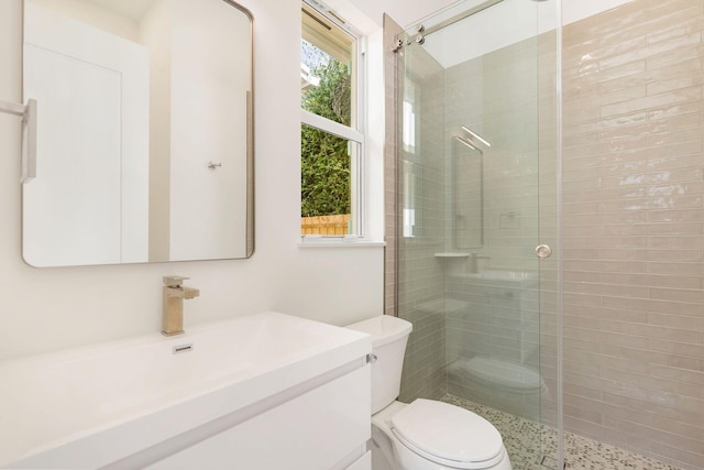 full bathroom featuring a shower stall, vanity, and toilet