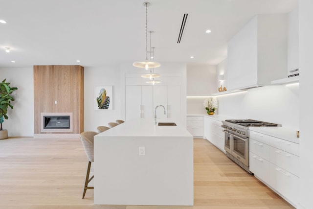 kitchen featuring range with two ovens, a large fireplace, white cabinets, modern cabinets, and light wood-type flooring