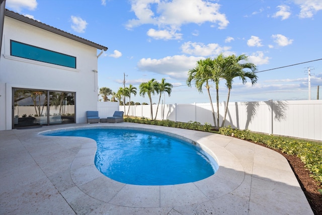 view of pool with a patio