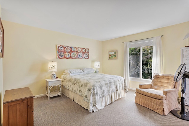 bedroom with dark carpet