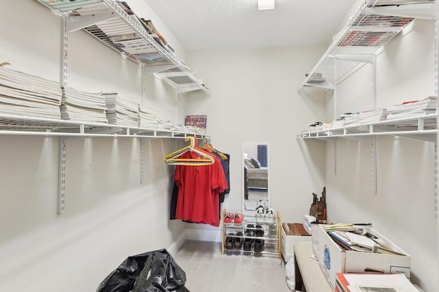 view of walk in closet