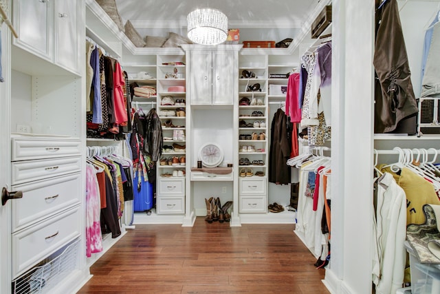 walk in closet featuring dark wood-type flooring and a chandelier