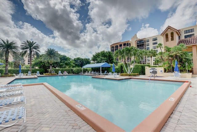 view of swimming pool with a patio