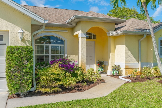 entrance to property featuring stucco siding and a shingled roof