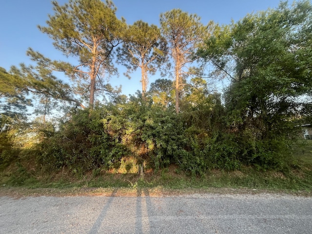 3966 NW 24th Ave, Okeechobee FL, 34972 land for sale